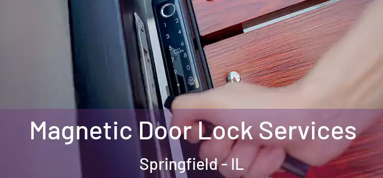 Magnetic Door Lock Services Springfield - IL
