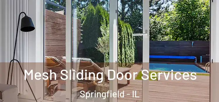 Mesh Sliding Door Services Springfield - IL