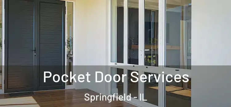 Pocket Door Services Springfield - IL